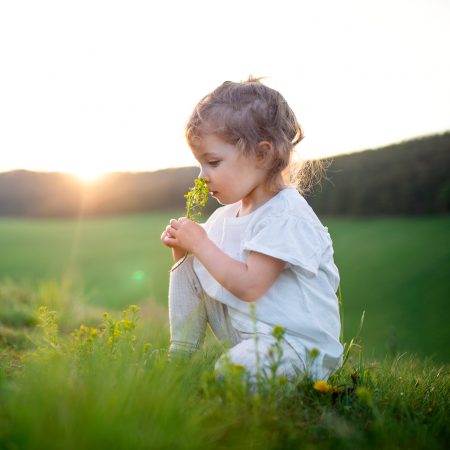 Small toddler girl smelling flowers outdoors on meadow in summer. Copy space.